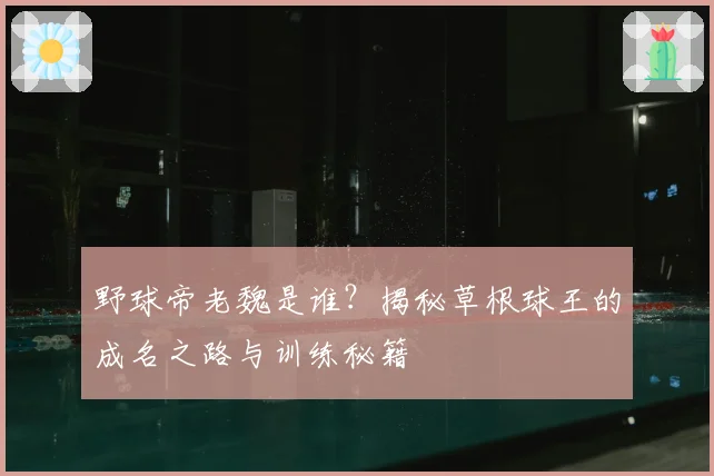 野球帝老魏是谁？揭秘草根球王的成名之路与训练秘籍