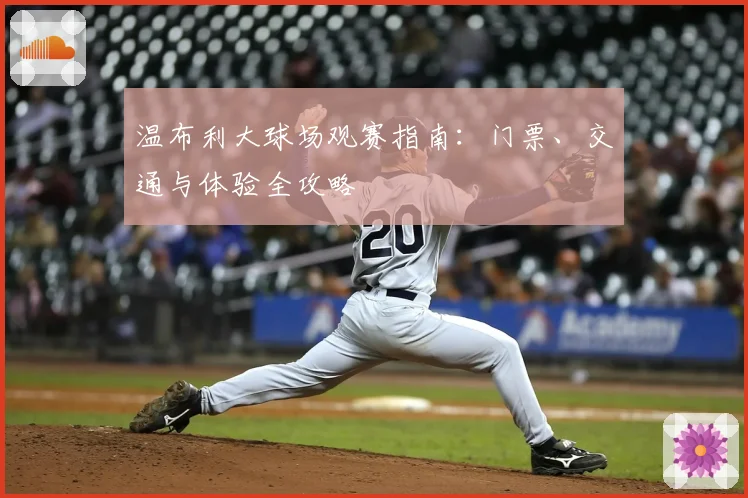 温布利大球场观赛指南：门票、交通与体验全攻略