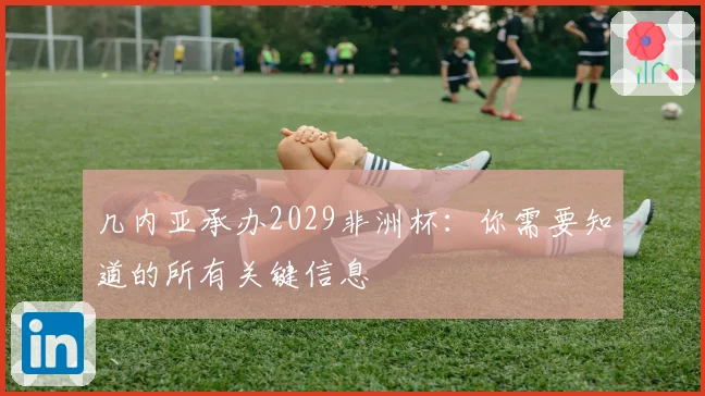 几内亚承办2029非洲杯：你需要知道的所有关键信息