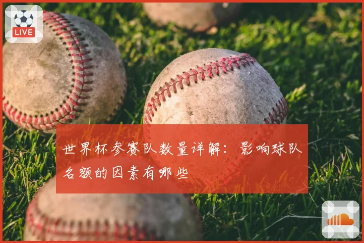 世界杯参赛队数量详解:影响球队名额的因素有哪些