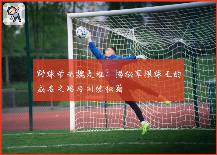 野球帝老魏是谁？揭秘草根球王的成名之路与训练秘籍